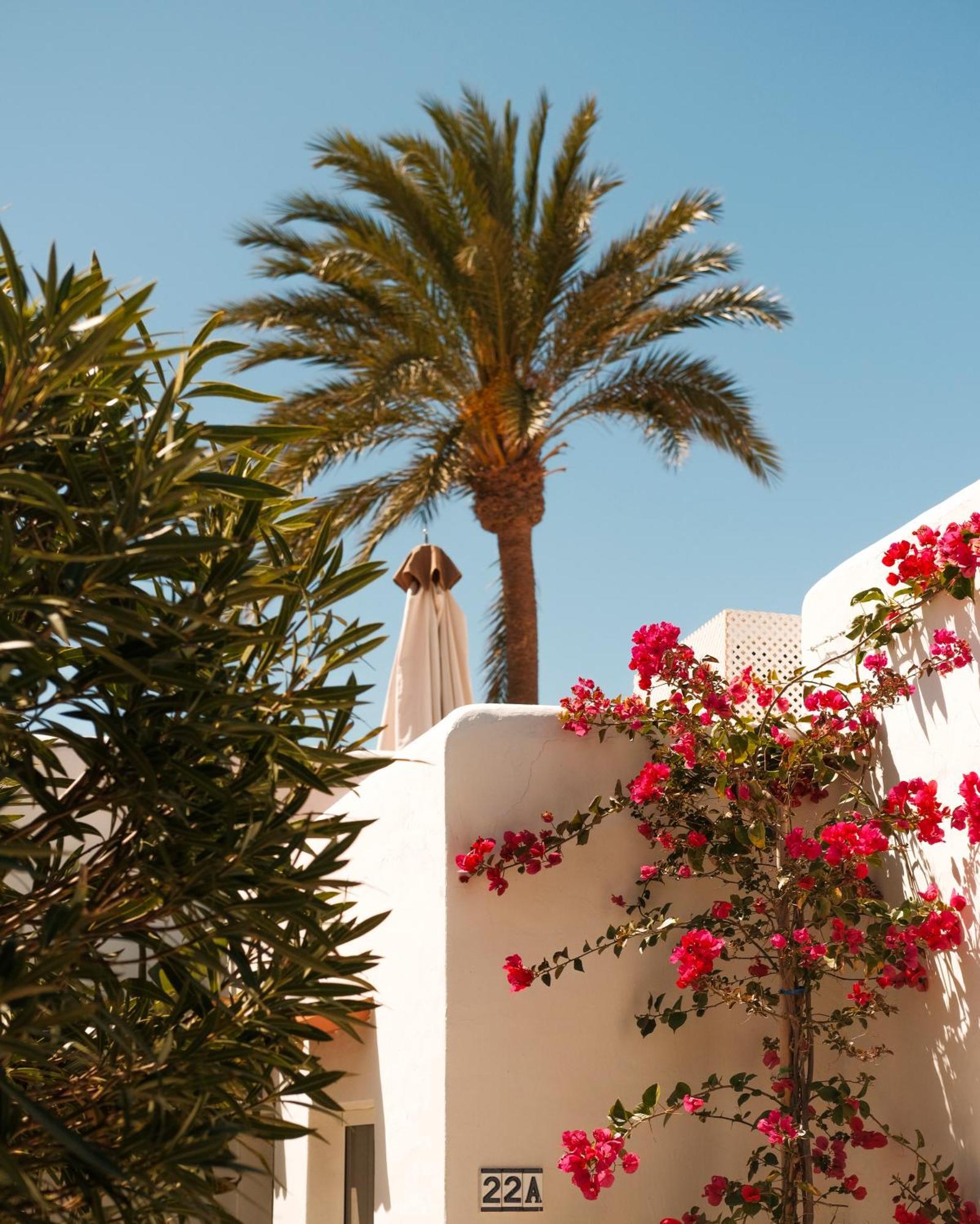 Hotel Unio Ibiza - Adults Only Cala Vadella  Zimmer foto
